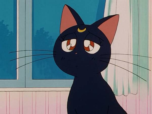 미소녀 전사 세일러문 (美少女戦士セーラームーン) 05 | 인스티즈