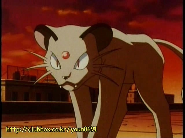 [포켓몬] 나옹이의 가나다라마바사 | 인스티즈