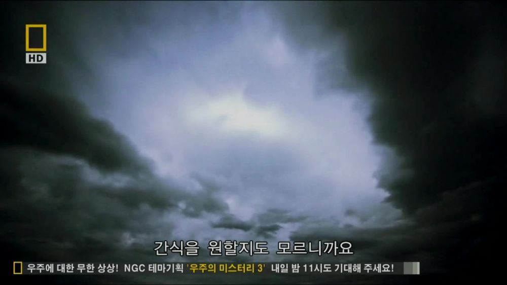 과학자들의 외계 생명체를 찾기위한 노력들.jpg | 인스티즈