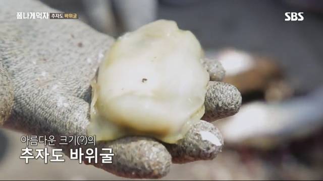추자도 바위굴 먹는 트와이스 정연X다현.jpg | 인스티즈