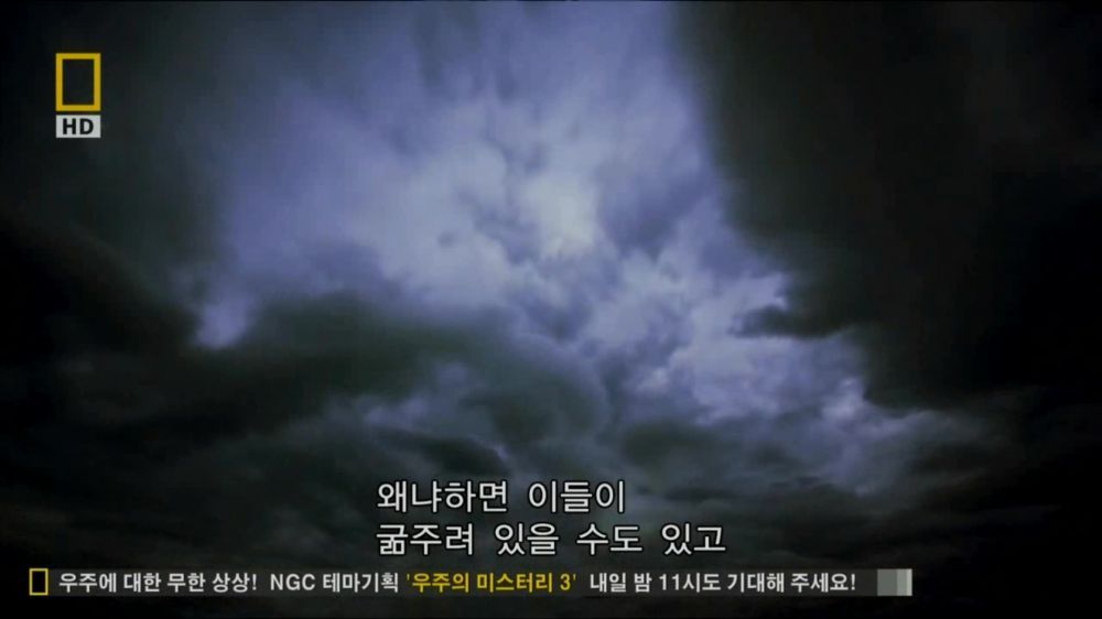 과학자들의 외계 생명체를 찾기위한 노력들.jpg | 인스티즈