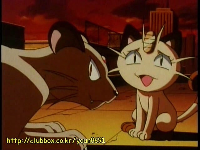 [포켓몬] 나옹이의 가나다라마바사 | 인스티즈