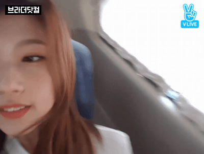 주말엔 사나 따라하는 시바 | 인스티즈