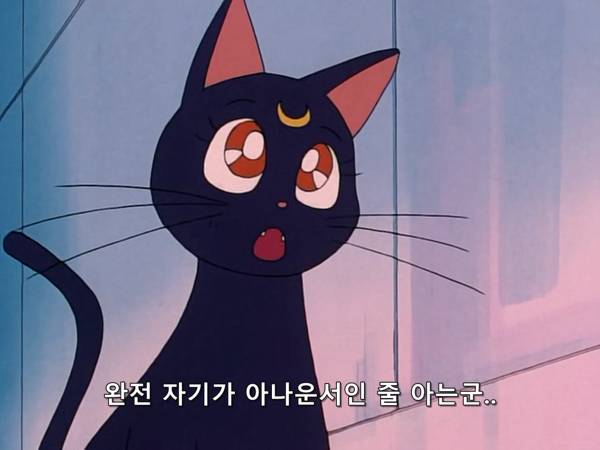 미소녀 전사 세일러문 (美少女戦士セーラームーン) 03 | 인스티즈