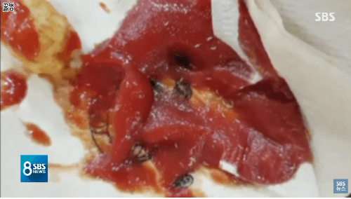 키즈카페 케첩에서 구더기 수십 마리 나와.jpg | 인스티즈