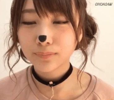 강아지 분장하는 타카하시 쥬리 | 인스티즈