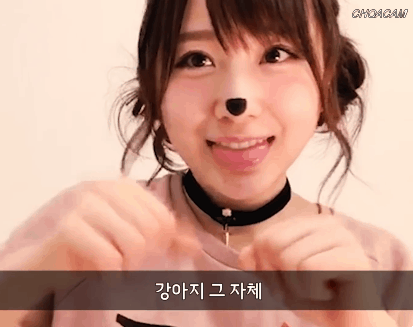 강아지 분장하는 타카하시 쥬리 | 인스티즈