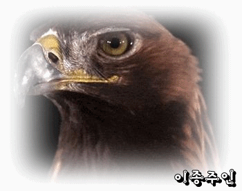 불안 극복 팁 10 가지 | 인스티즈