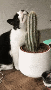 어후 시원하다.gif | 인스티즈