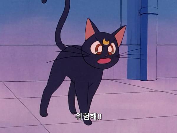 미소녀 전사 세일러문 (美少女戦士セーラームーン) 03 | 인스티즈