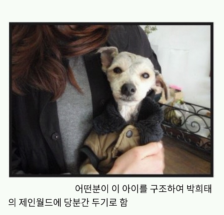 아산에서 또다시 희생당하는 동물이 나타나지않게 서명하자!(사진 끔찍주의) | 인스티즈