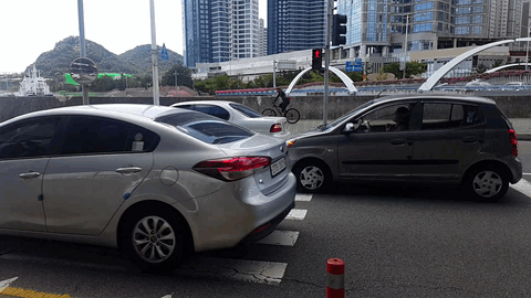 부산에 자해공갈단이 없는 이유 | 인스티즈