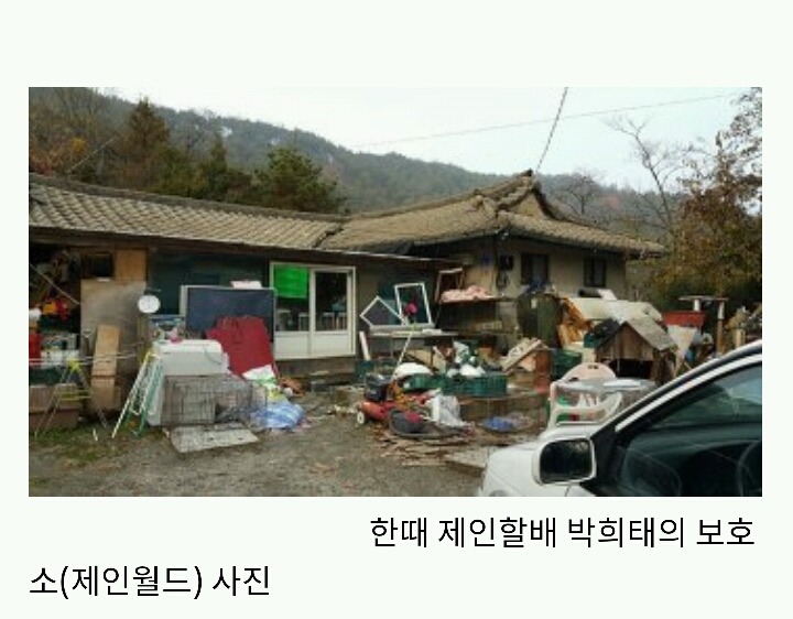 아산에서 또다시 희생당하는 동물이 나타나지않게 서명하자!(사진 끔찍주의) | 인스티즈