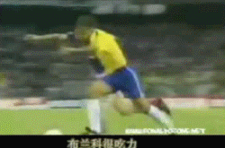 전성기 시절 호돈.gif | 인스티즈