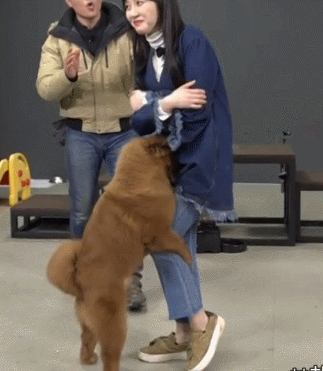 폭주하던 설현네 댕댕이의 최후.gif | 인스티즈