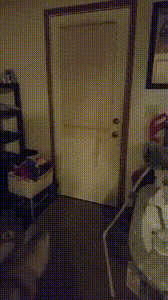 주인 반기는 개.gif | 인스티즈