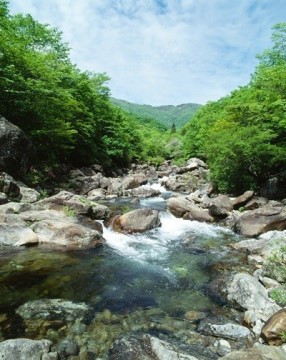 당신의 취향은? : 최고의 라면을 가려라 | 인스티즈