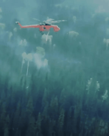 산불 진화하는 소방헬기 | 인스티즈