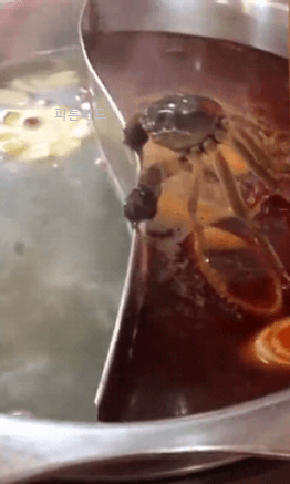 죽고 싶지 않아.gif | 인스티즈