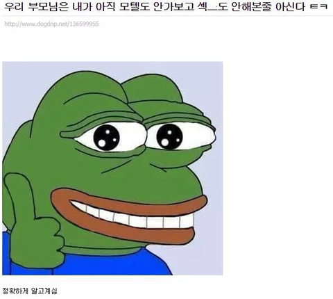 우리부모님은 나 아직 섹스 안해본줄 아신다 | 인스티즈