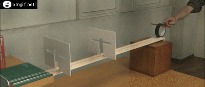 직장인 월급날.gif | 인스티즈