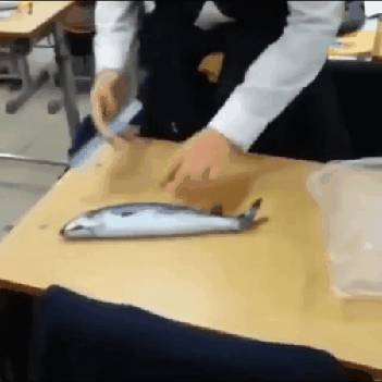 교실에서 고등어 손질하는 학생 | 인스티즈