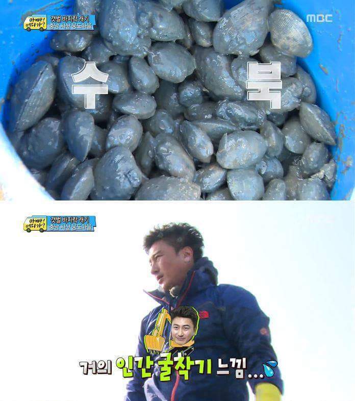 못하는게 없는 안정환 | 인스티즈