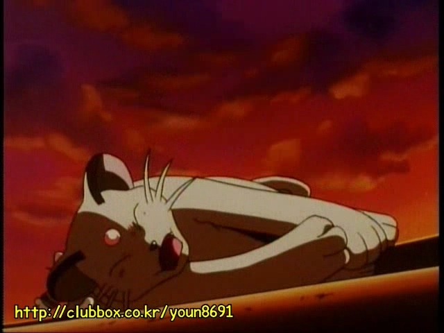 [포켓몬] 나옹이의 가나다라마바사 | 인스티즈