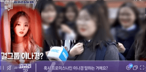 상왕돌에 이어 총리돌까지... (feat.프로미스나인) | 인스티즈