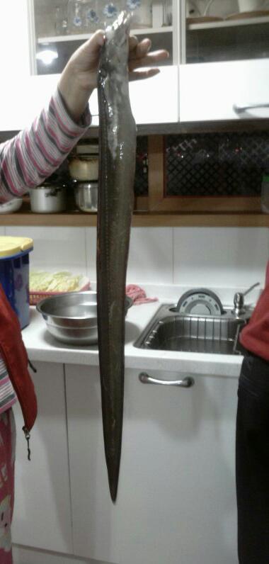 집앞이 바닷가인 어느 가정의 흔한 식탁 | 인스티즈