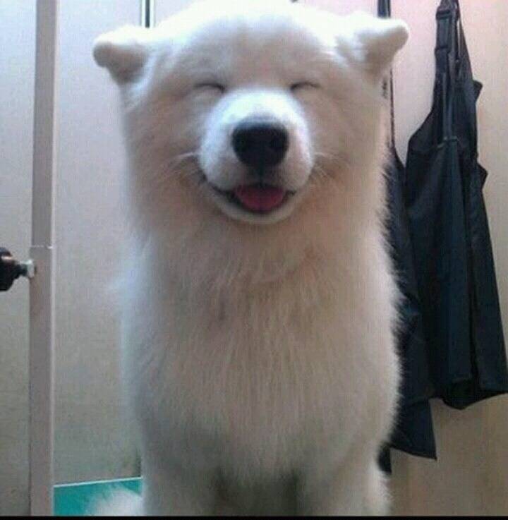 파스타 만듬!!!! | 인스티즈