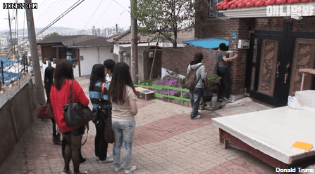 모른척 지나가면 짖는 삼식이.jpg | 인스티즈