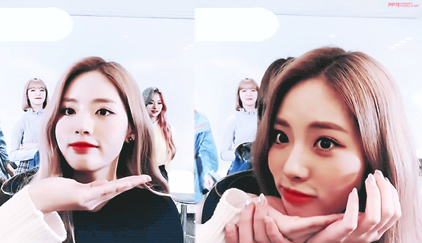 [프로미스나인] 꽃받침하는 꽃 9송이 | 인스티즈