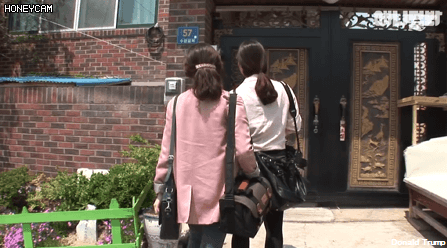 모른척 지나가면 짖는 삼식이.jpg | 인스티즈