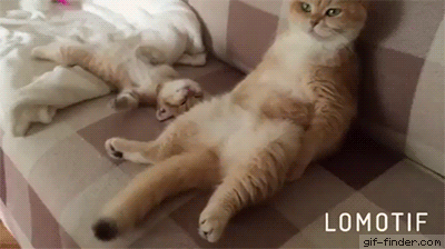 남편에게 애 맡기고 하루종일 나갔다 들어왔을때 | 인스티즈