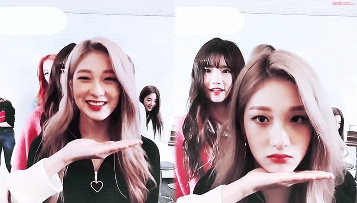 [프로미스나인] 꽃받침하는 꽃 9송이 | 인스티즈