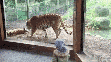 아기보는 앞에서 싸움 | 인스티즈