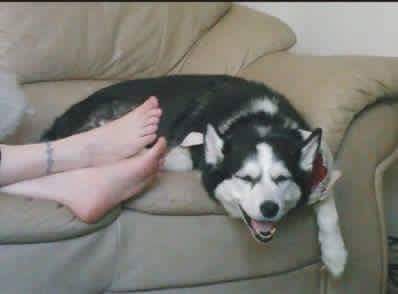 발냄새에 꼴까닥 | 인스티즈