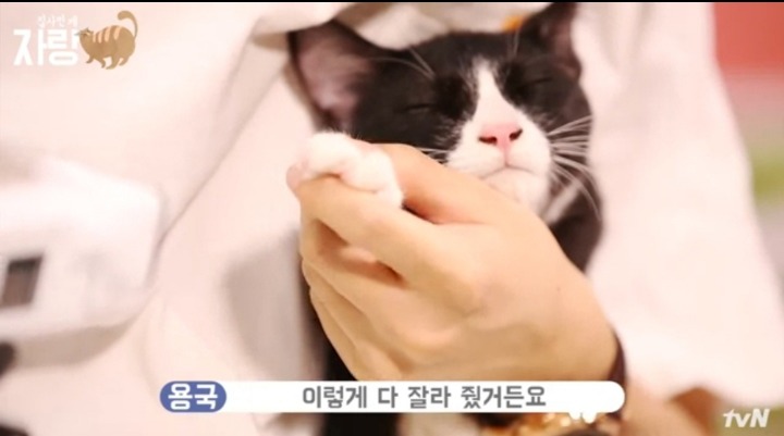 [집사인게자랑] 평화로운 고양이 발톱 자르기.jpg | 인스티즈