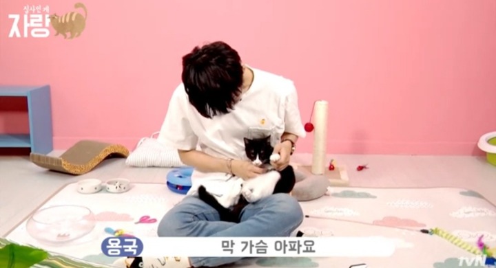 [집사인게자랑] 평화로운 고양이 발톱 자르기.jpg | 인스티즈