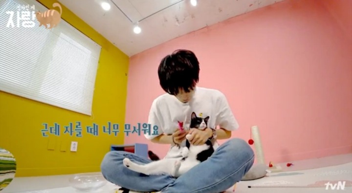 [집사인게자랑] 평화로운 고양이 발톱 자르기.jpg | 인스티즈