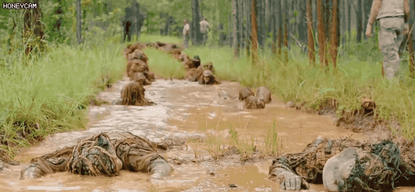 야생의 저격수들 | 인스티즈