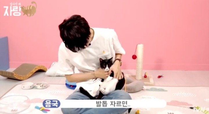 [집사인게자랑] 평화로운 고양이 발톱 자르기.jpg | 인스티즈