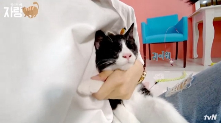 [집사인게자랑] 평화로운 고양이 발톱 자르기.jpg | 인스티즈