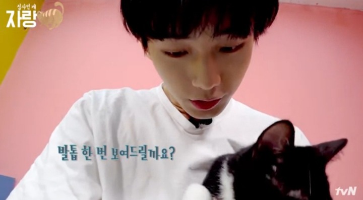 [집사인게자랑] 평화로운 고양이 발톱 자르기.jpg | 인스티즈