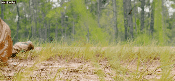 야생의 저격수들 | 인스티즈