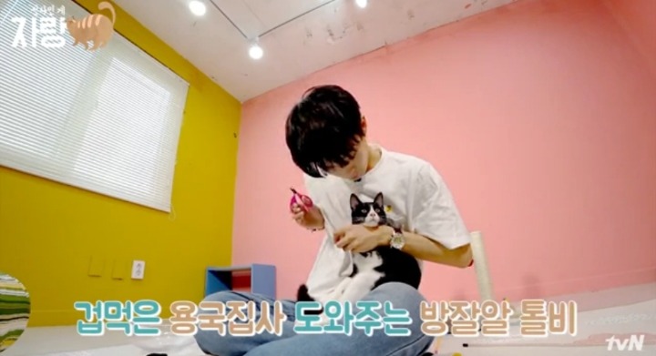 [집사인게자랑] 평화로운 고양이 발톱 자르기.jpg | 인스티즈