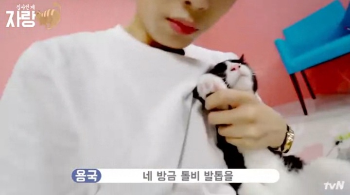 [집사인게자랑] 평화로운 고양이 발톱 자르기.jpg | 인스티즈