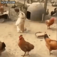 키우는 환경이 중요한 이유 | 인스티즈