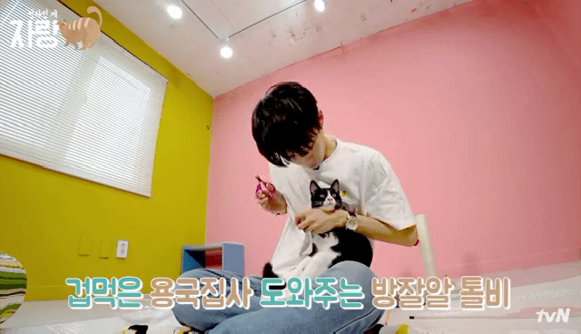 [집사인게자랑] 평화로운 고양이 발톱 자르기.jpg | 인스티즈